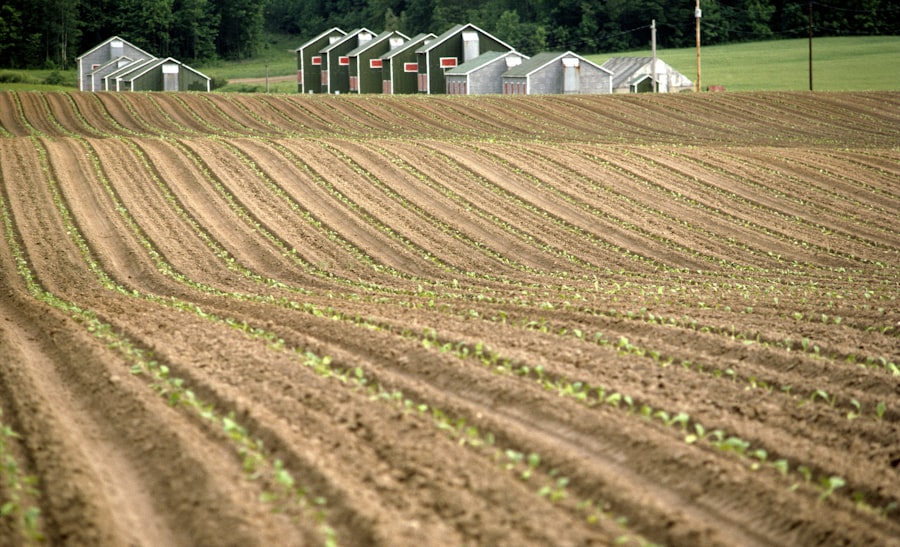 Real estate with food production systems