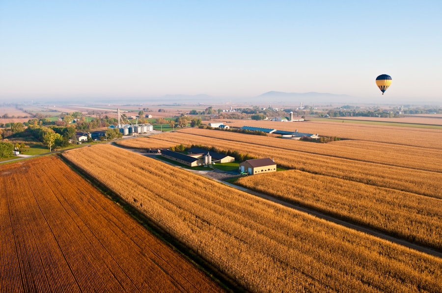 Photo Real estate with food production systems